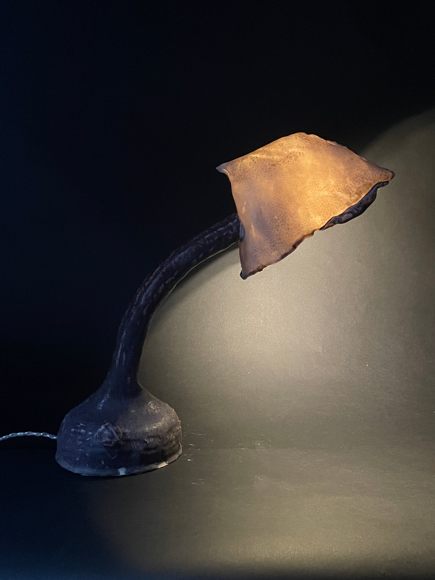 Lamp 7, 2024
