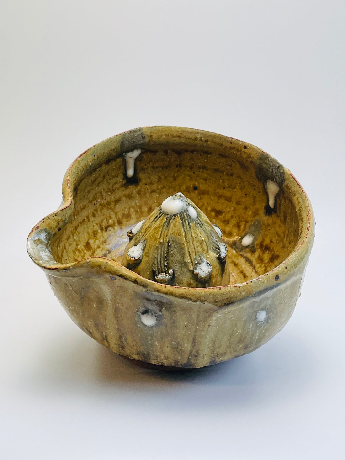 Citrus juicer, hornbeam ash, nuka T318