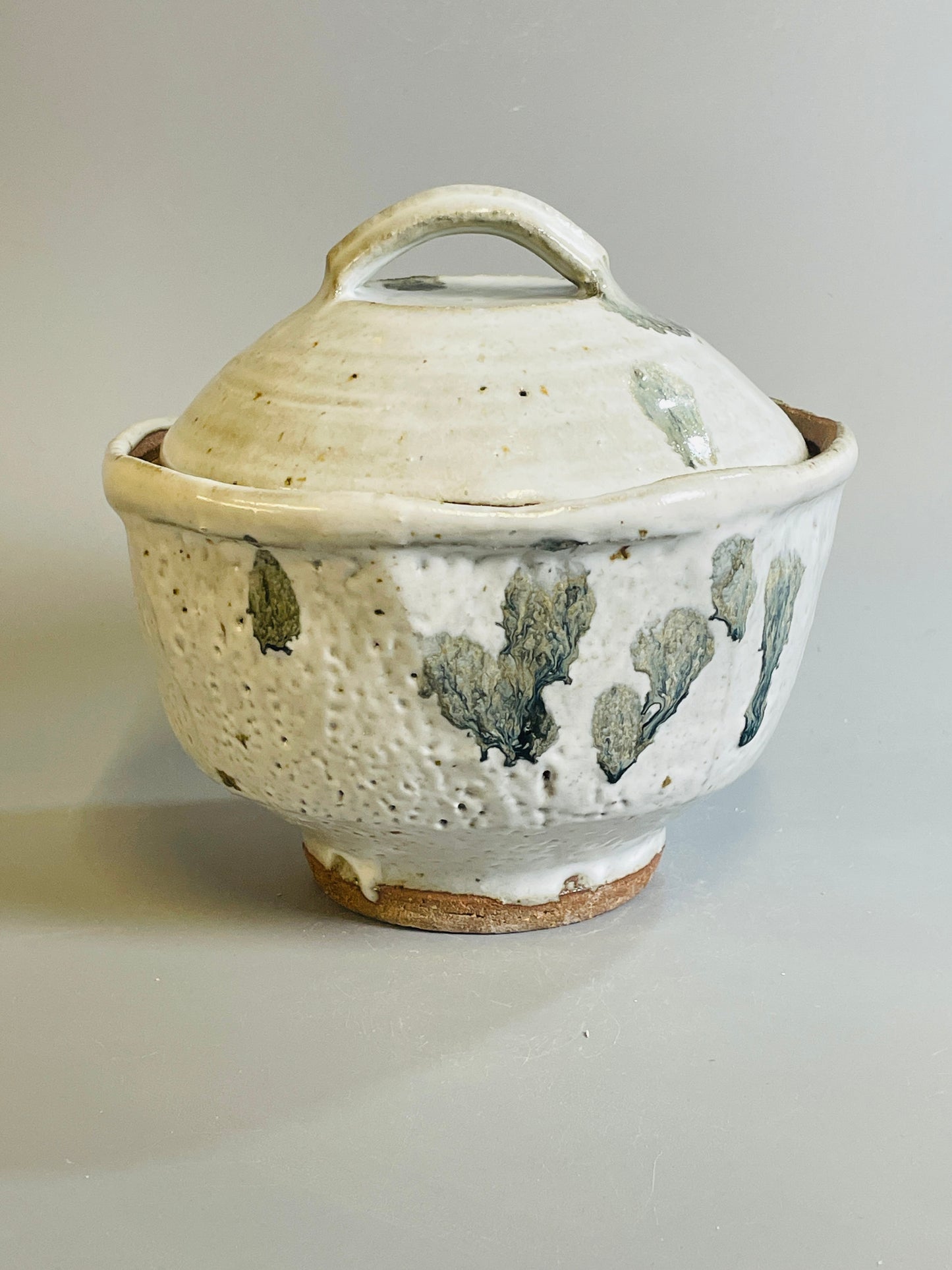 Bowl and cover, nuka, jian, T1334
