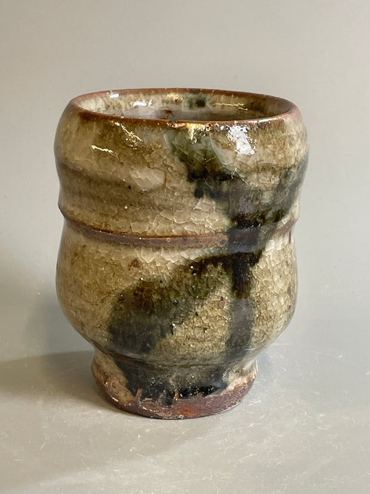 Yunomi, shino, jian, T1421