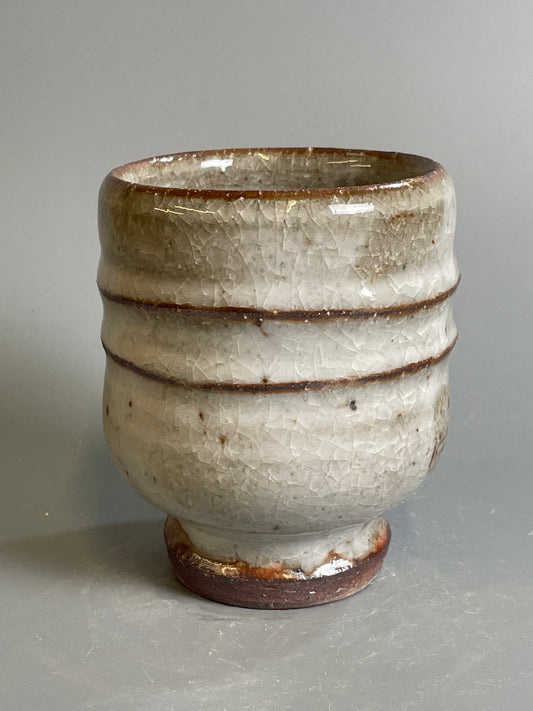 Yunomi, shino, T1434